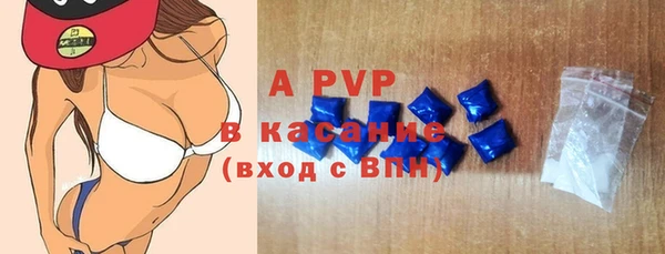 индика Медвежьегорск