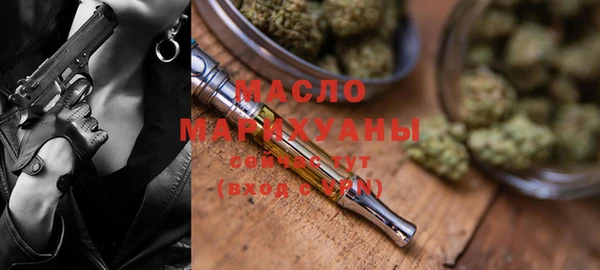 индика Медвежьегорск