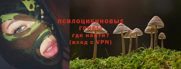 эйфоретик Магадан