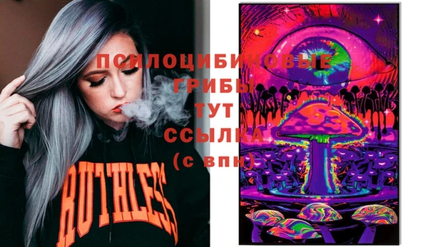 индика Медвежьегорск