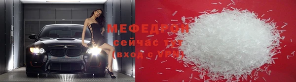 индика Медвежьегорск