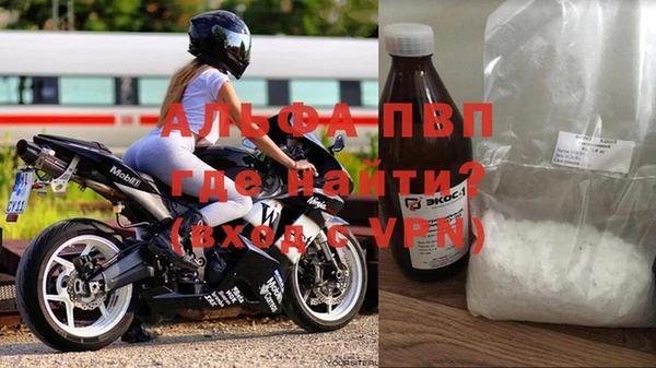 индика Медвежьегорск
