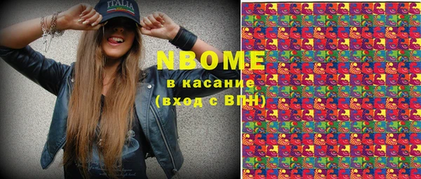 индика Медвежьегорск