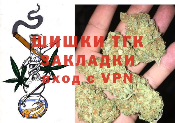 сатива Бердск